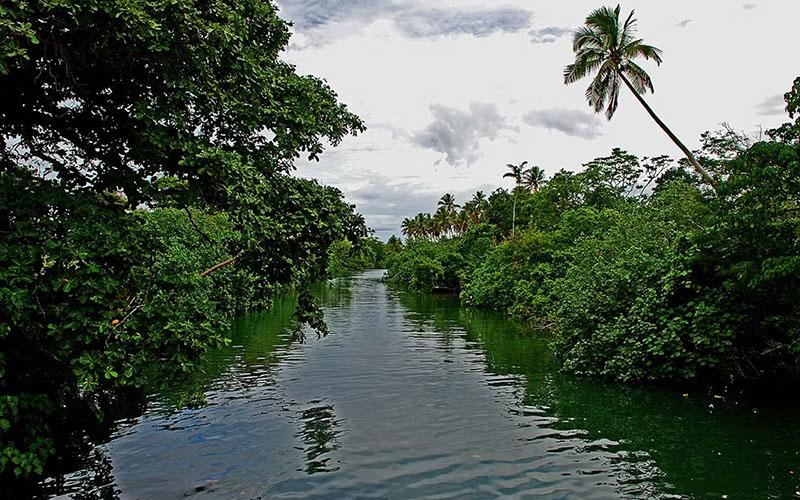 中國(guó)香港瓦努阿圖移民多少錢(qián)？了解移民費(fèi)用及相關(guān)因素